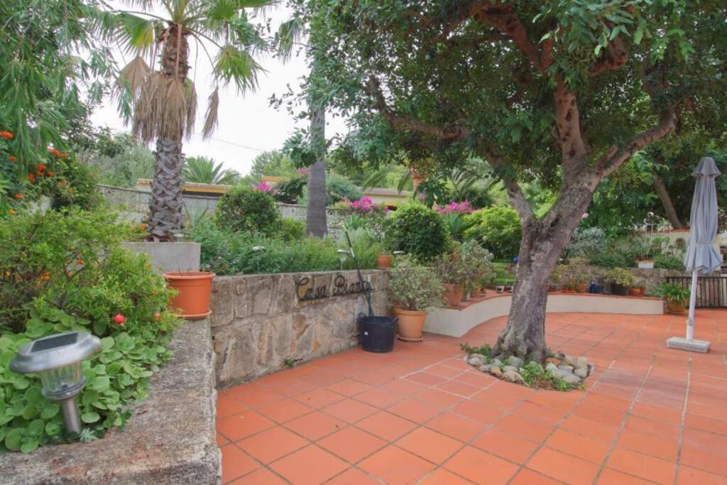 Agradable Casa Con Piscina Privada Y Jardin Villa Denia Exterior photo